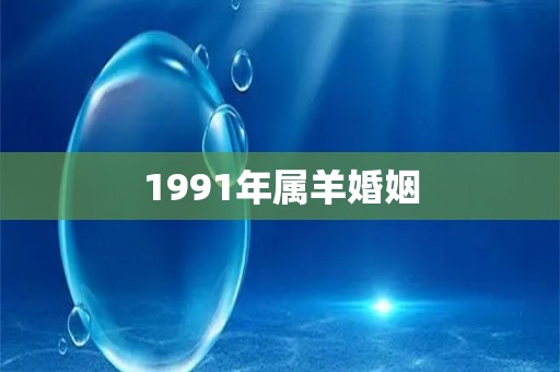 1991年属羊婚姻