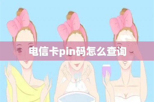 电信卡pin码怎么查询