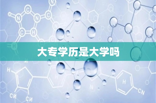 大专学历是大学吗