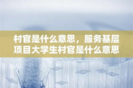 村官是什么意思，服务基层项目大学生村官是什么意思