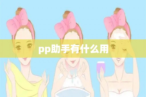 pp助手有什么用