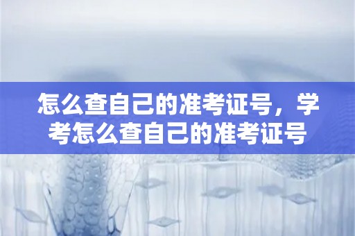 怎么查自己的准考证号，学考怎么查自己的准考证号